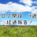 ブログ開始4週間の経過報告!