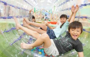ジョイフル本田 ニューポートひたちなか店が大規模改装 年10月1日 木 開業 新規10テナント一覧 最新情報も 出店ウォッチ